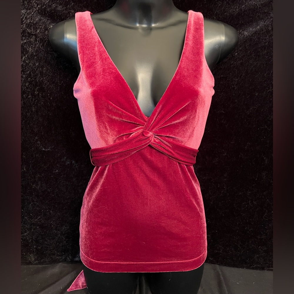 BCBC MAXAZRIA NWOT Women’s Raspberry Velvet V-Neck Top. Size S. L-011